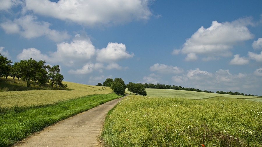 N134_Other_field N134_Other_field
