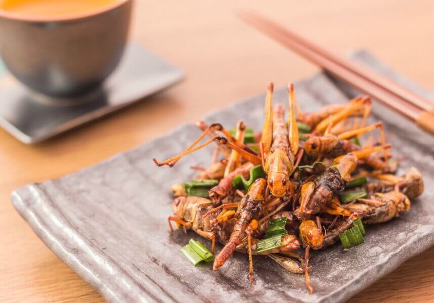 Fried grasshoppers. A large section of the population in Uganda, enjoys grasshoppers, white ants, crickets. The grasshoppers caught in May, June, November, and December during the mating season.