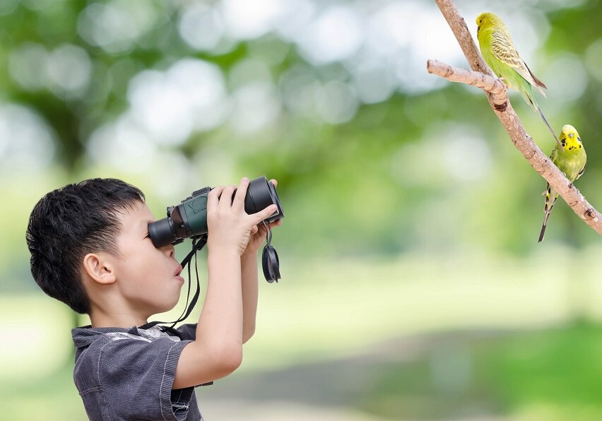 Child with binoculars watching birds.