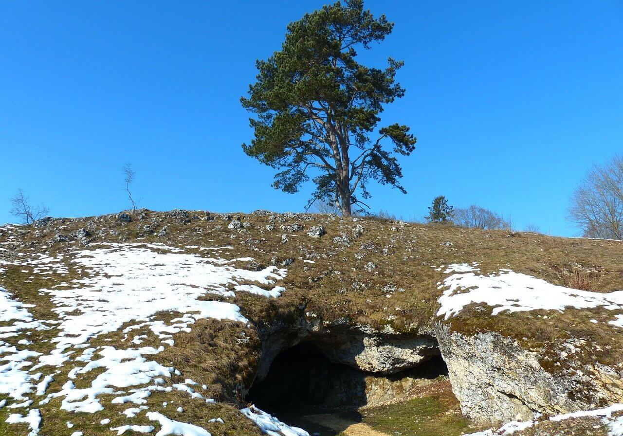 Cave with entrance located on one side of a rock. There is a small tree on top of the rock. Birds birds employ a system of hearing known as echolocation or sonar, which enables them to find their way through the dark caves in which they roost.